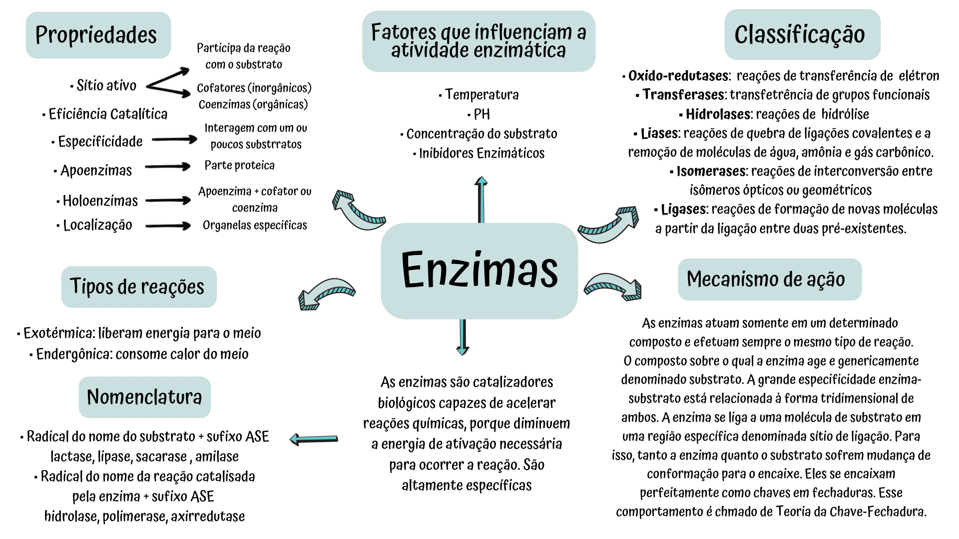 Grátis: Mapa mental Enzimas - Material Claro e Objetivo em PDF para Estudo  Rápido, image size:1920x1080
