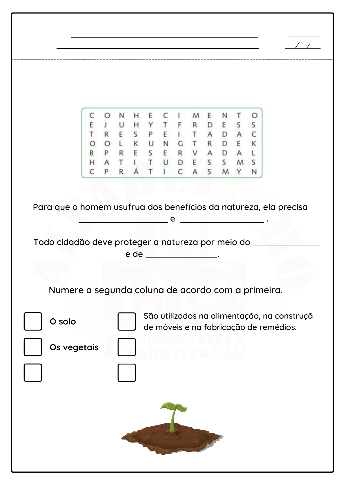 Banco de Palavras 3 Ano - 1, PDF, Alimentos