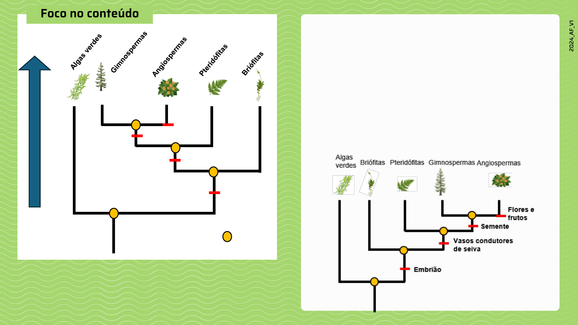Grátis: Aula 5 - O pensamento evolutivo e o pensamento em árvore - Material  Claro e Objetivo em PDF para Estudo Rápido, image size:1920x1080