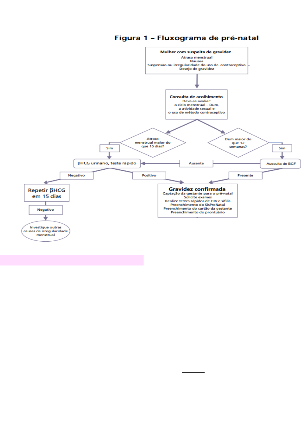 Mola de Presilha de Cabelo: O Que Realmente Importa na Escolha da Mola  Certa para Seus Acessórios?, image size:1053x1527