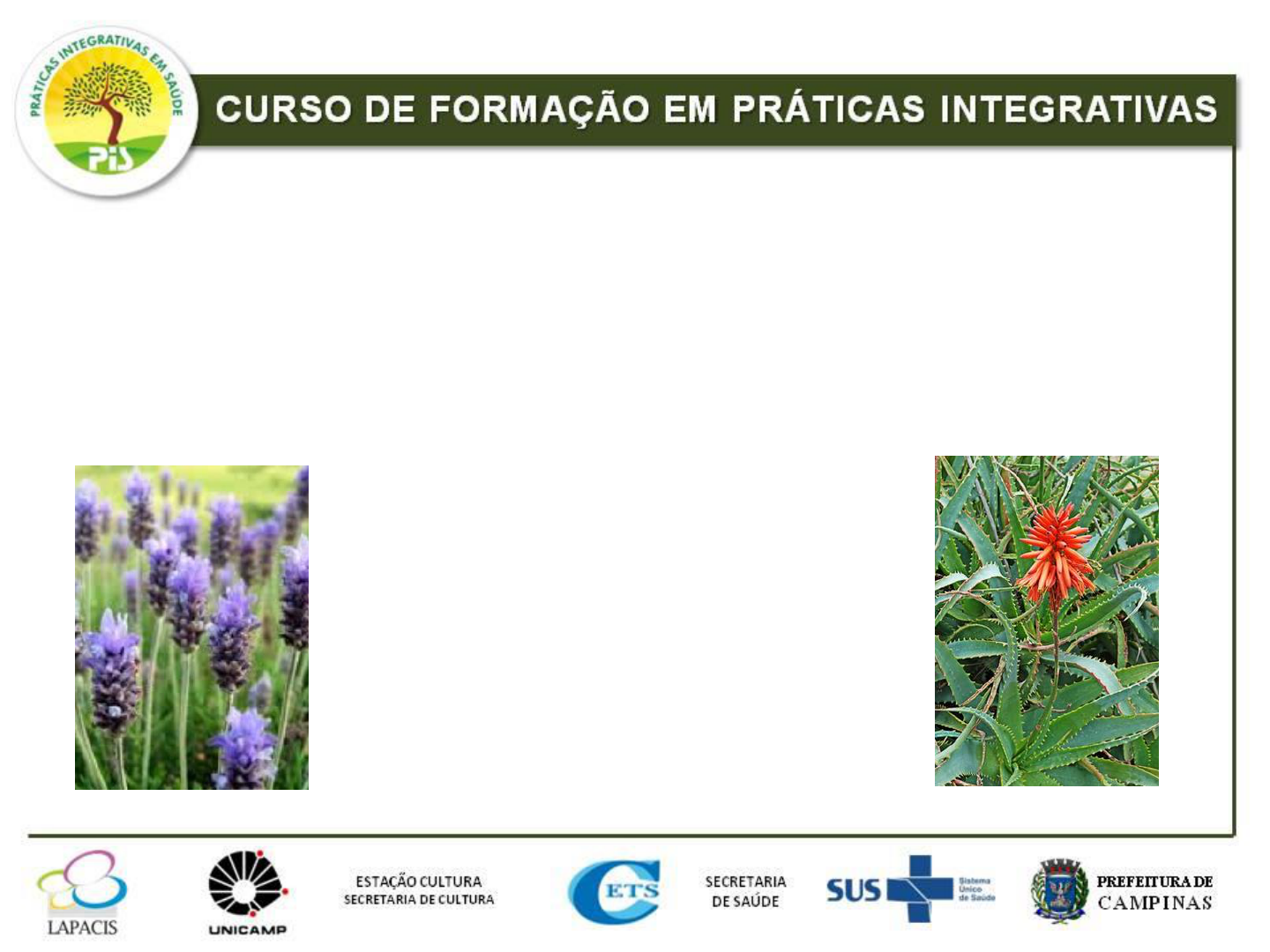 Em alusão a Semana da Planta Medicinal, o Centro Universitário Paraíso ( UniFAP) promoverá a Palestra: A importância das Plantas Medicinais no  Desenvolvimento de Fármacos – CRF-CE