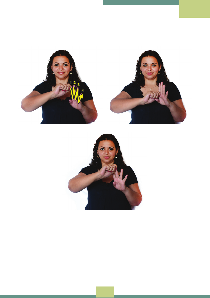 LIVROLIBRAS aula3 Libras