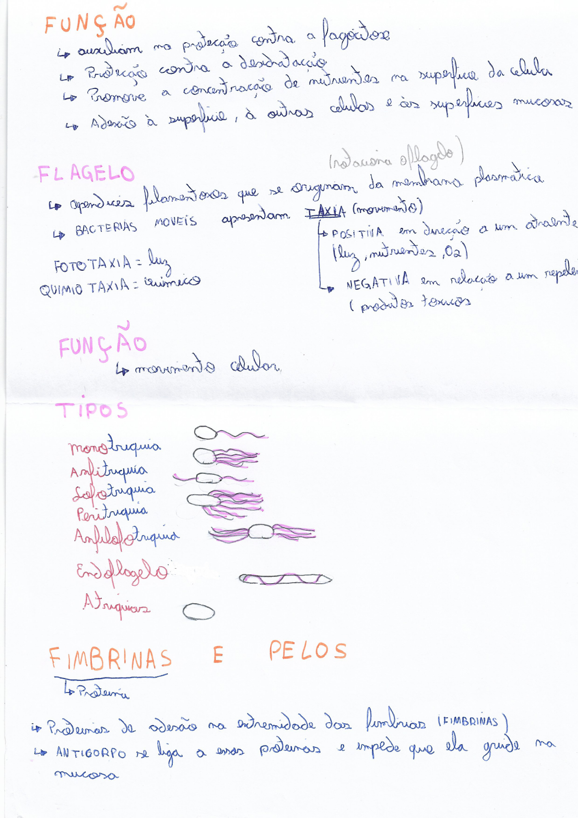 Resumo Microbiologia Microbiologia