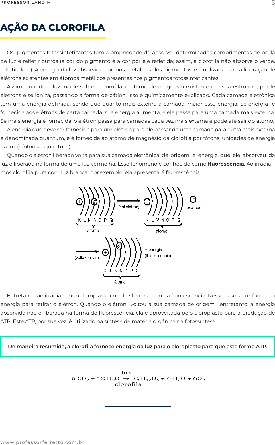 PPT - Citologia PowerPoint Presentation, free download - ID:4808010, image size:965x1559