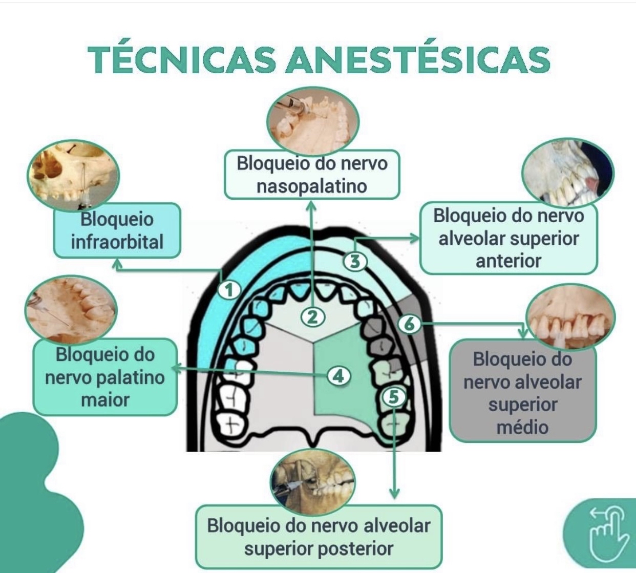 Cirurgia - Odontologia