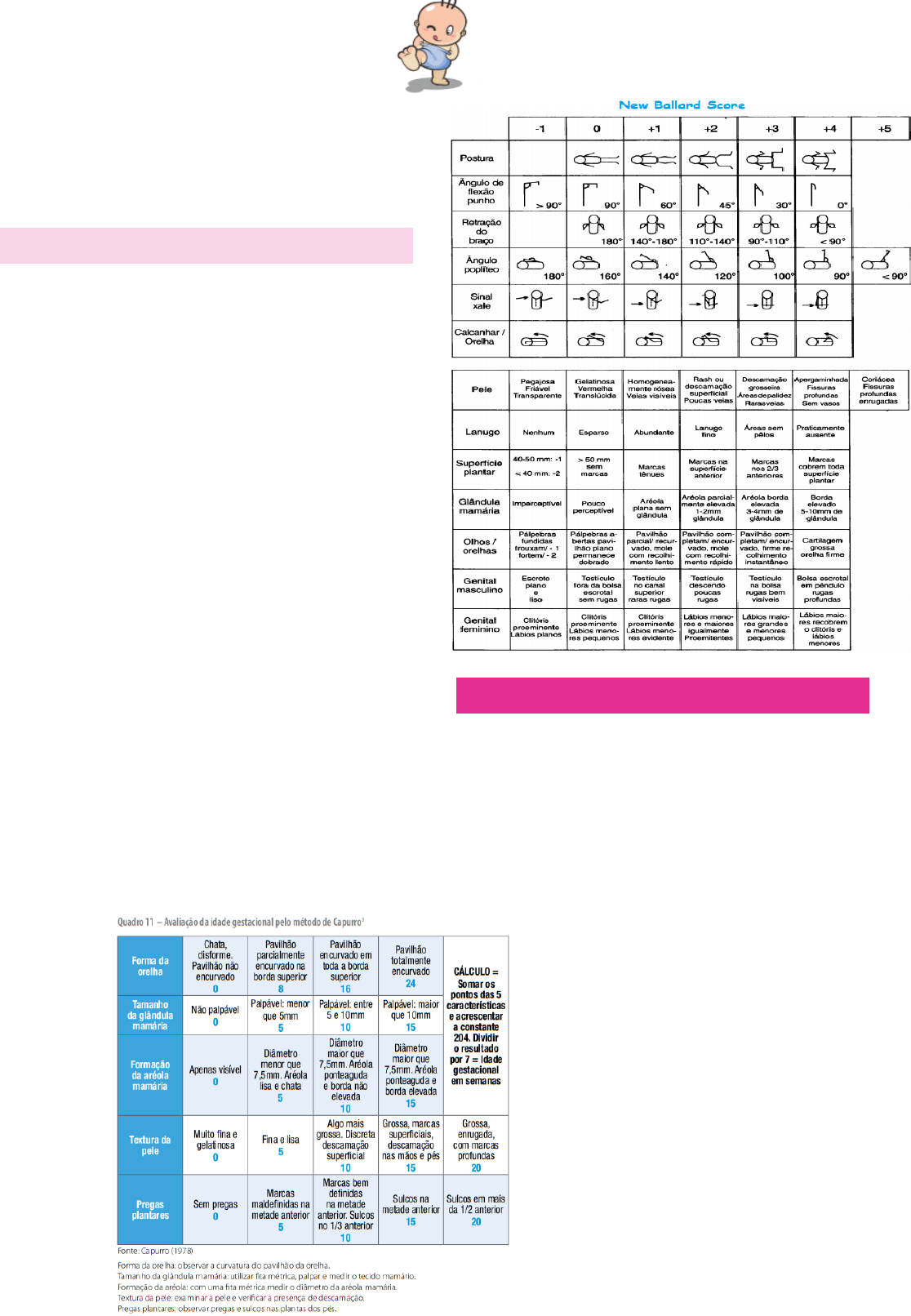 Sudoku O melhor do brasil - facil / medio / dificil - vol 140 em