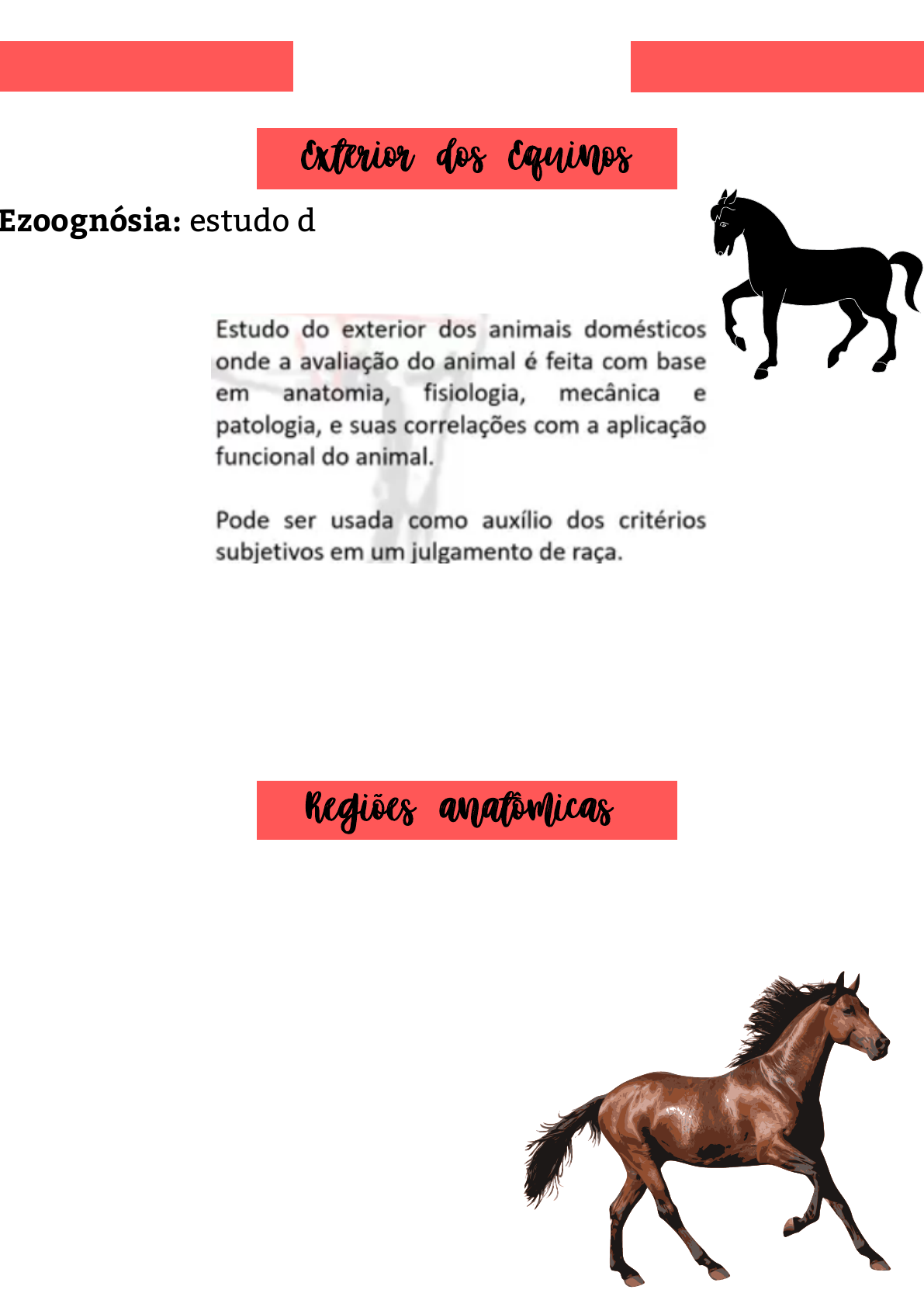 ANATOMIA: O EXTERIOR DO CAVALO