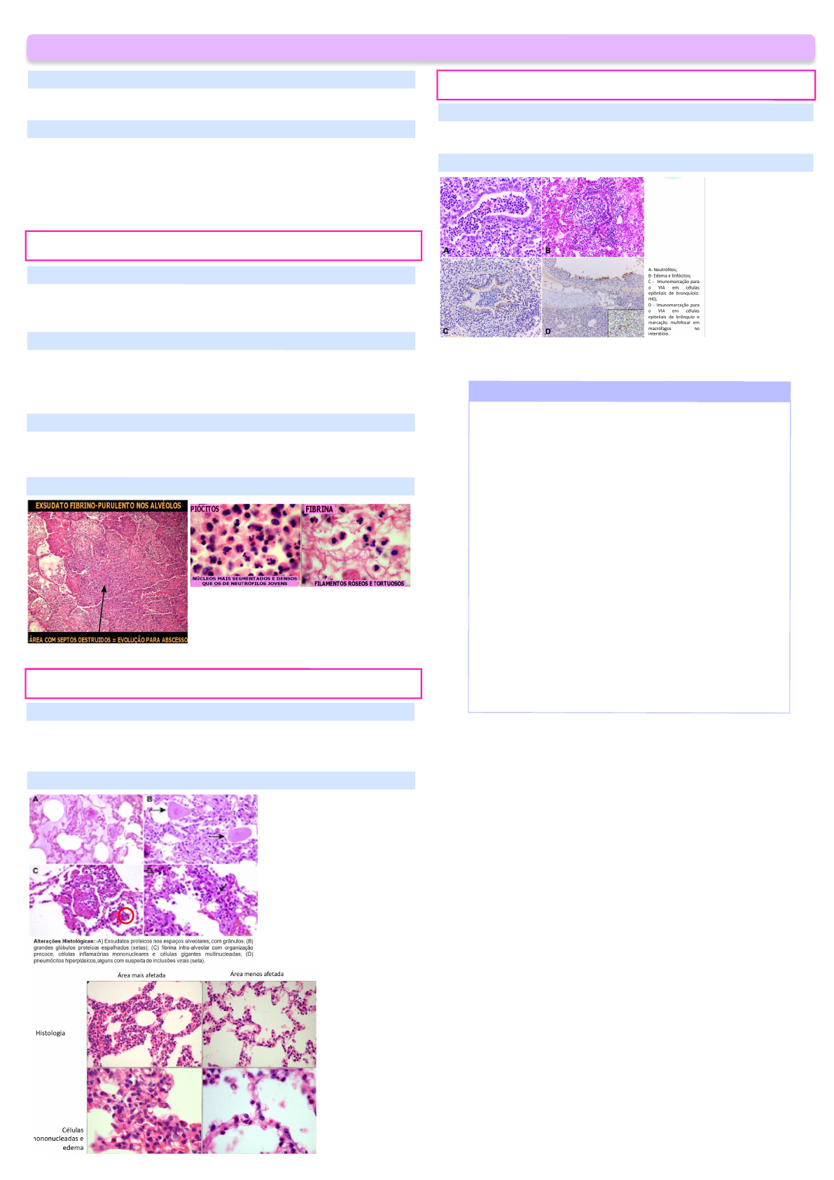 histología de fibrina