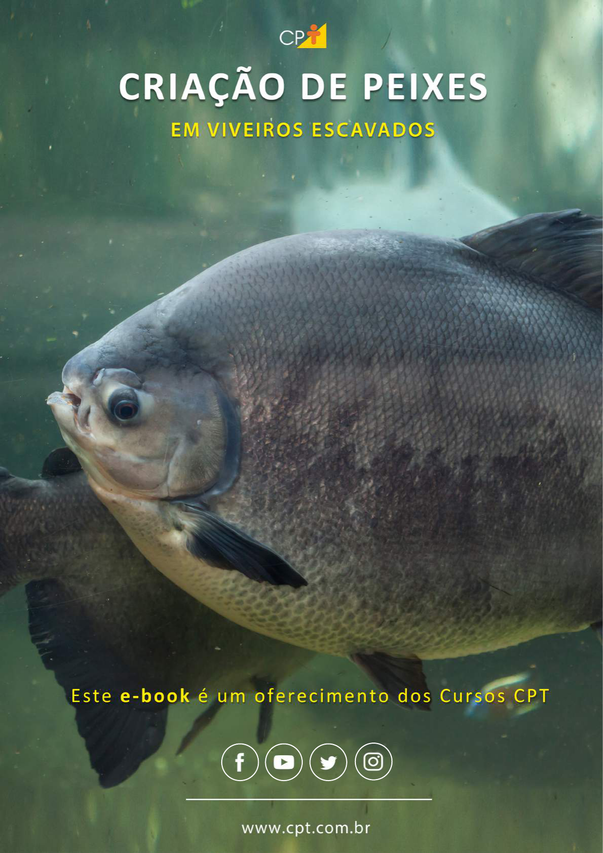 Calaméo - Os peixes trocados por miúdos.pdf