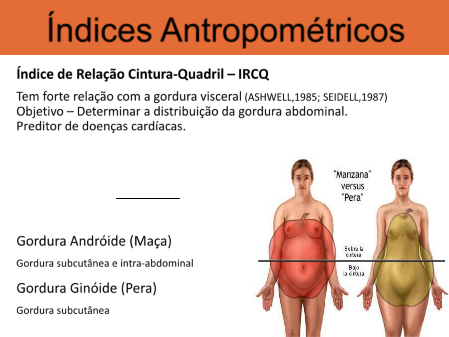 5. Indices Antropometricos - Educação Física