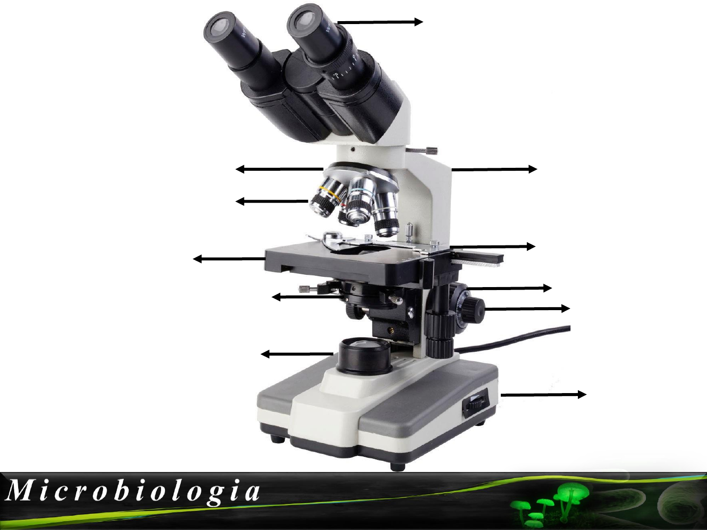 Release of Plasmodium sporozoites requires proteins with histone-fold  dimerization domains | Nature Communications, image size:1440x1080