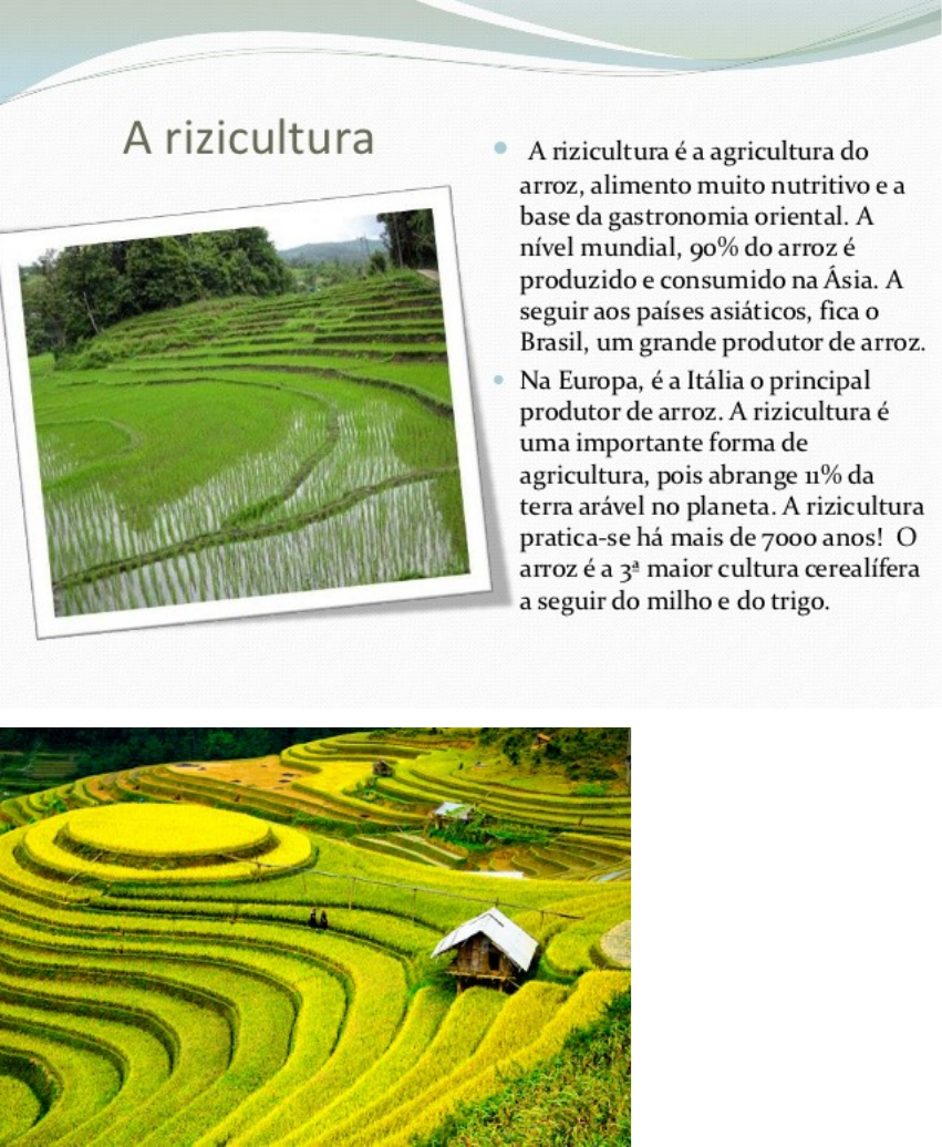 TIPOS DE AGRICULTURA - Educação Ambiental