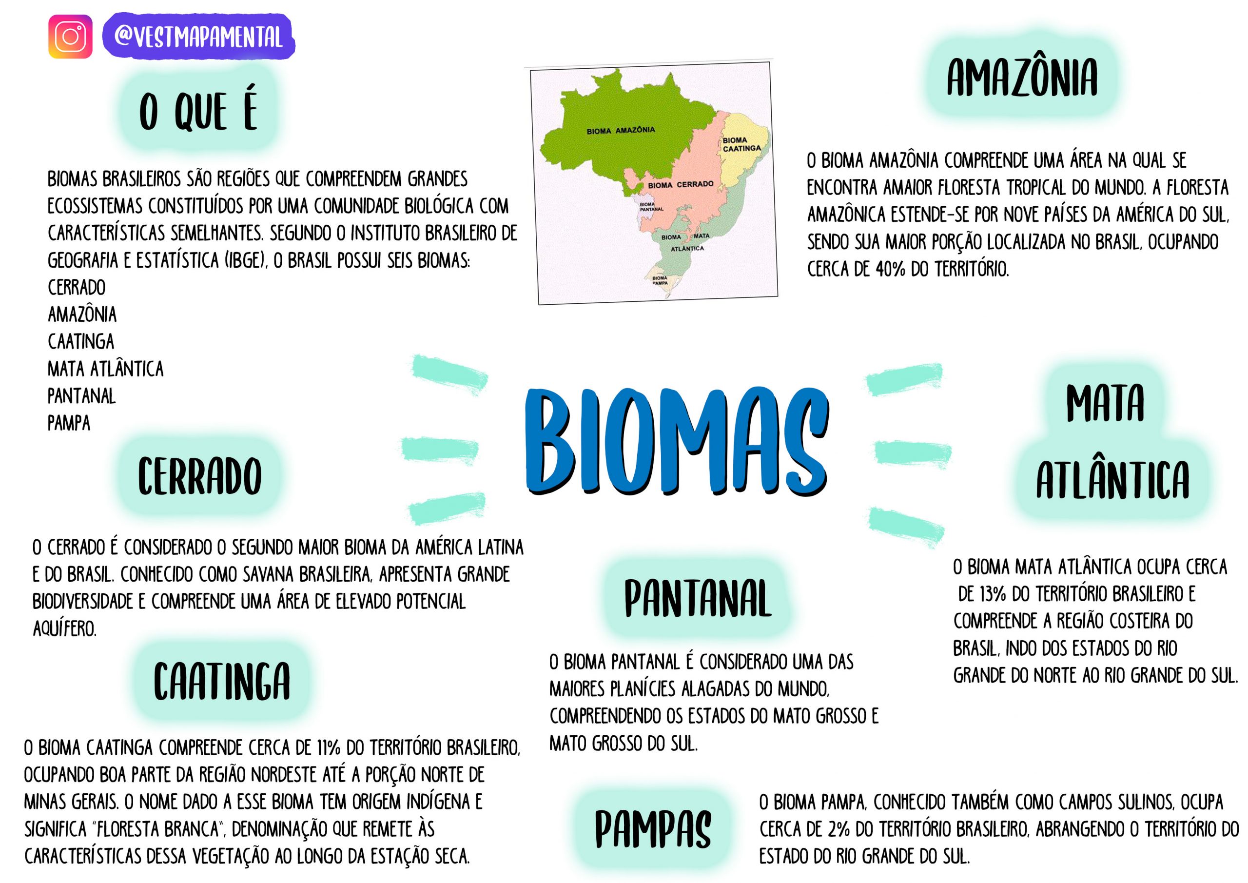 Mapa Mental Biomas Brasileiros Learnbrazil