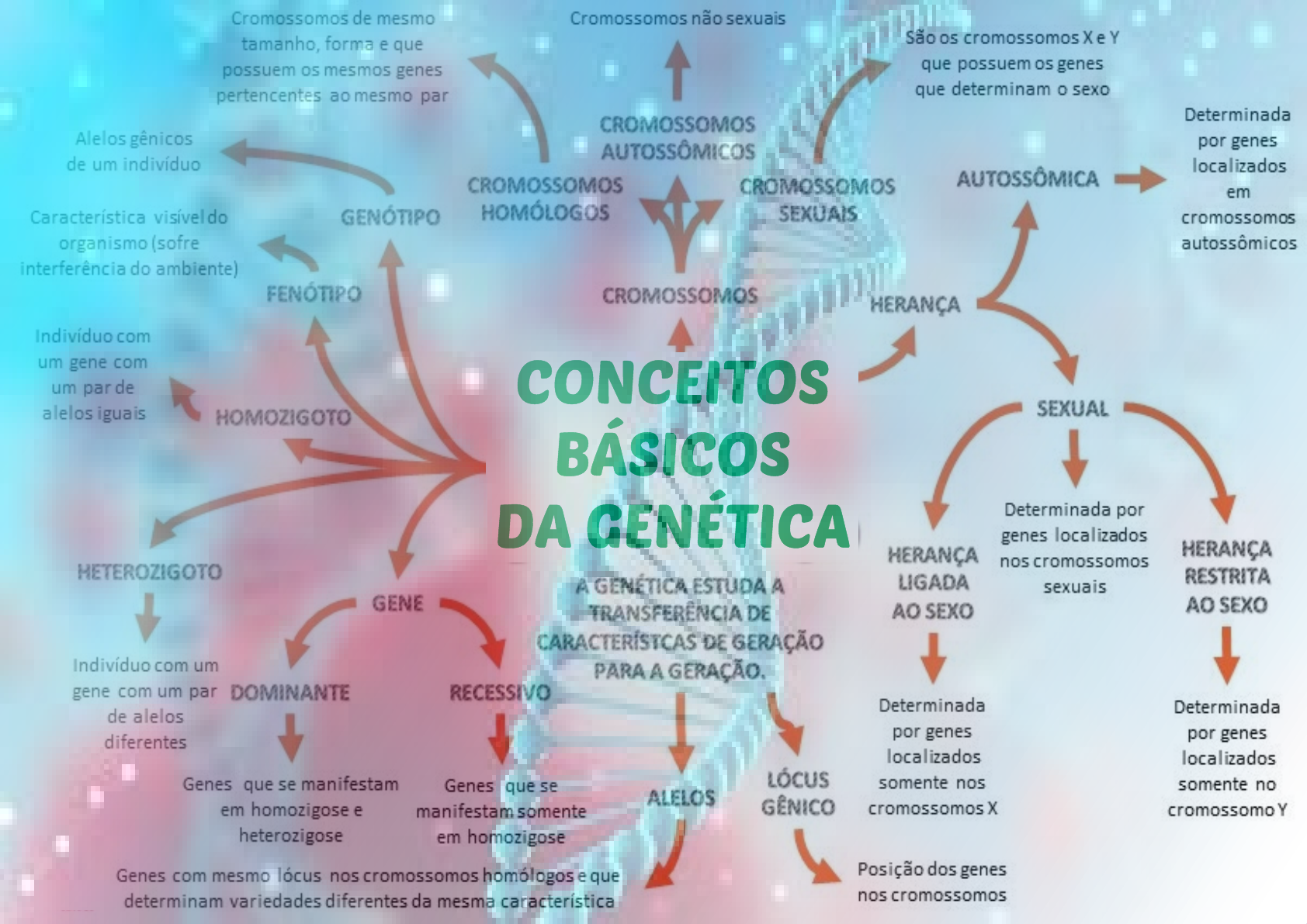 Mapa conceitual (3) (1) - Biologia Celular