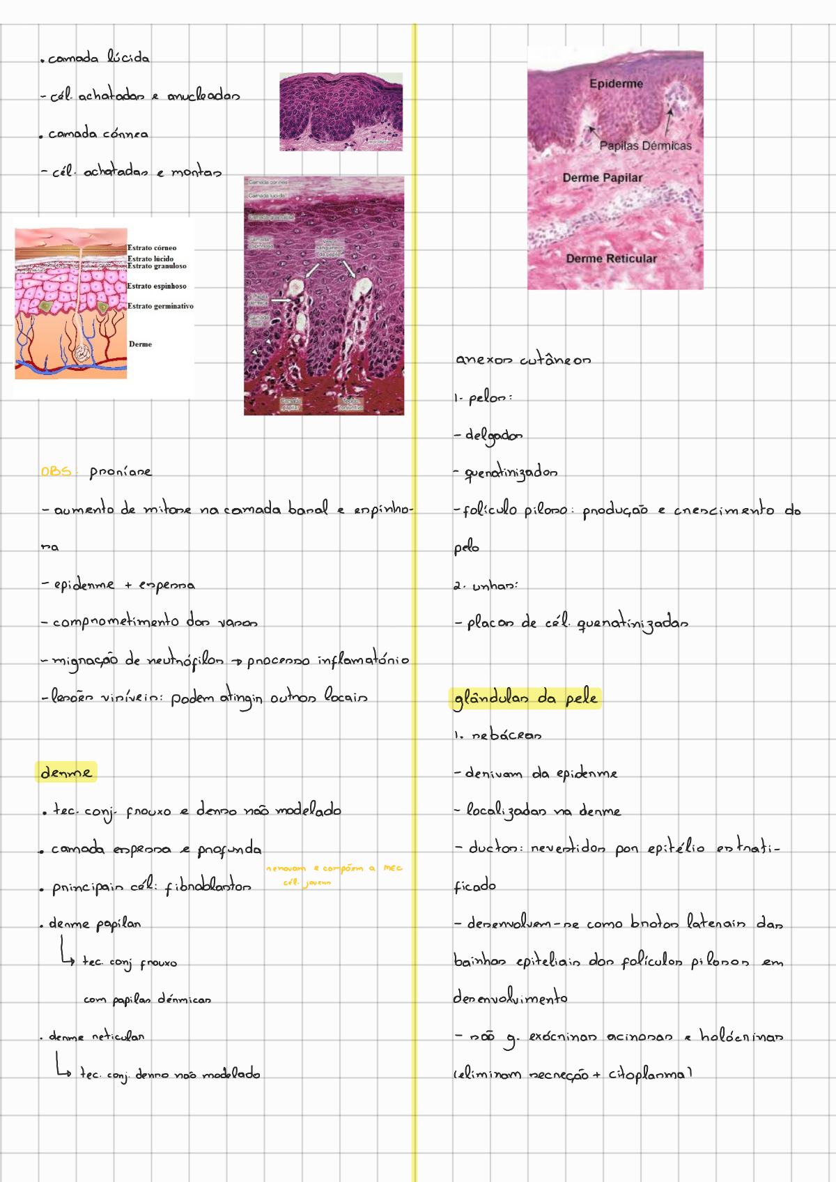 Sistema Tegumentar - Histologia E Embriologia