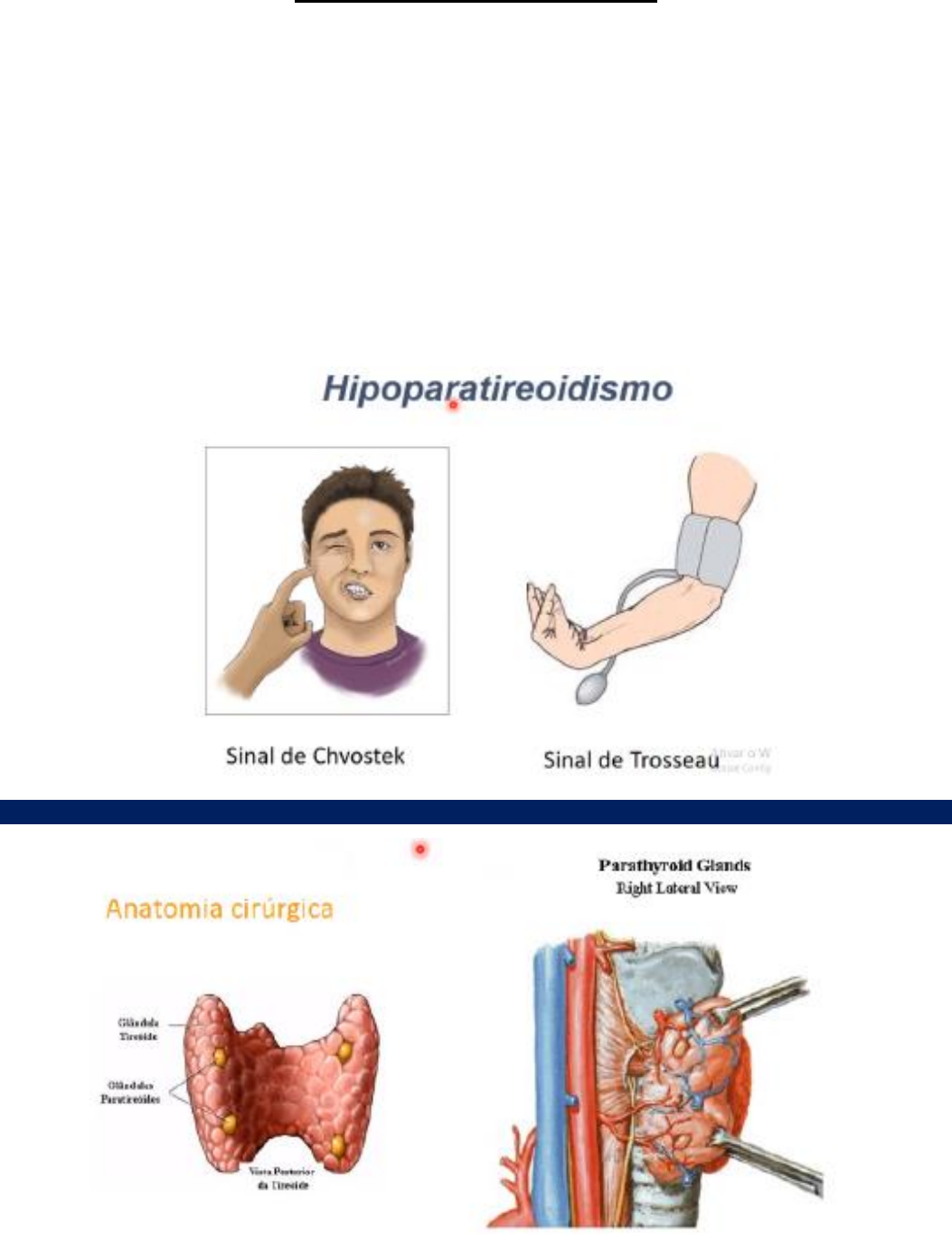Grátis: RESUMO DE CIRURGIA DA TIREOIDE - Material Claro e Objetivo em PDF  para Estudo Rápido, image size:1053x1376