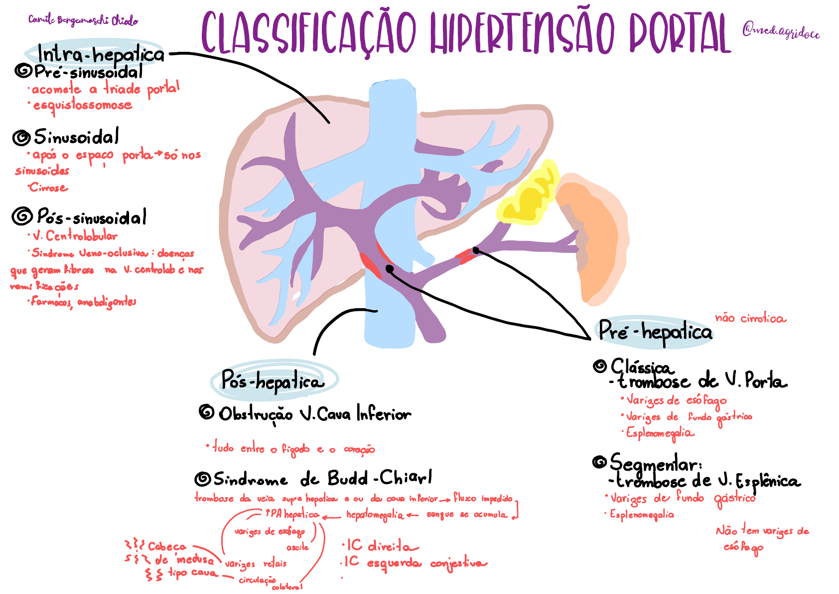 Histologia Da Hipertensao Portal