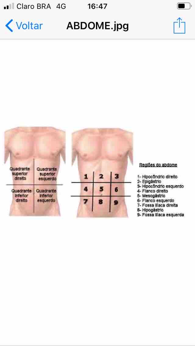 Exame Físico Abdominal Exame Fisico Em Enfermagem 2662