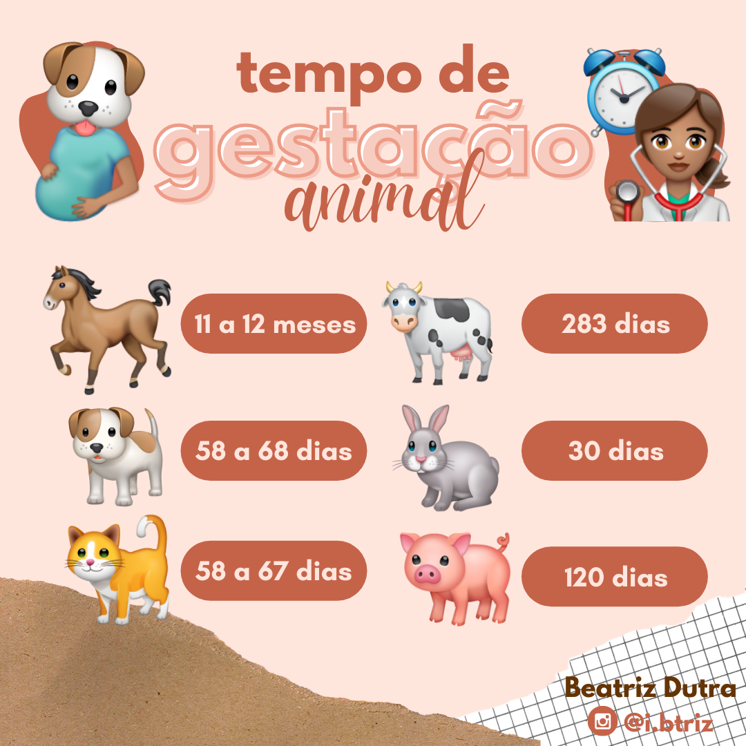Tempo de Gestação Animal - Clínica Médica I