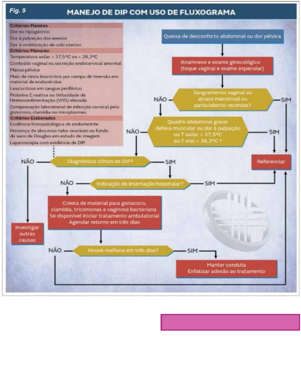 Dr. Carlos Roberto - Ginecologia - A DIPA (Doença Inflamatória Pélvica  Aguda) é uma infecção dos órgãos reprodutivos femininos (útero, trompas e  ovários). ▫ A DIPA ocorre quando bactérias patogênicas proliferam na