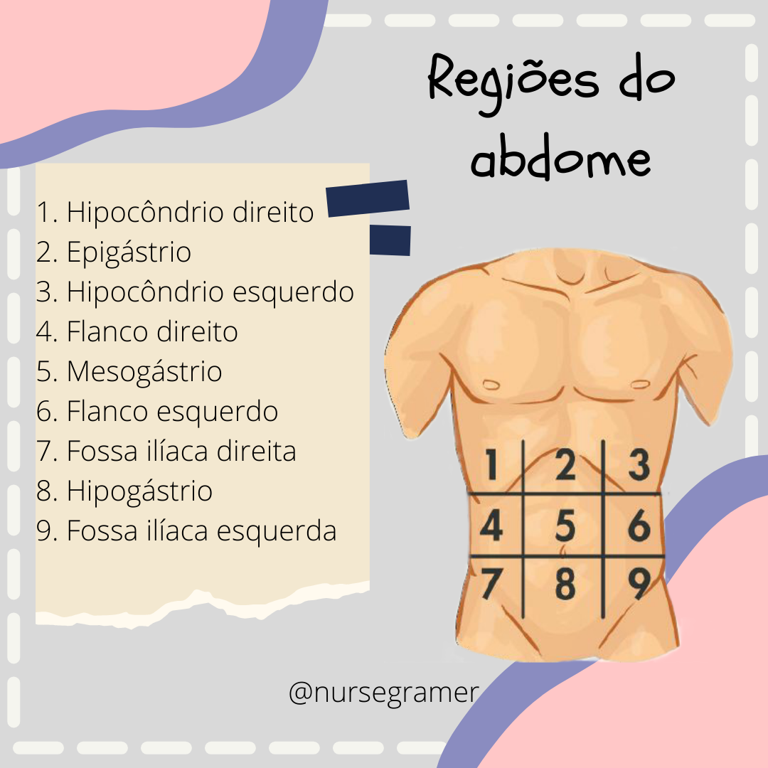 4 regiões do abdômen