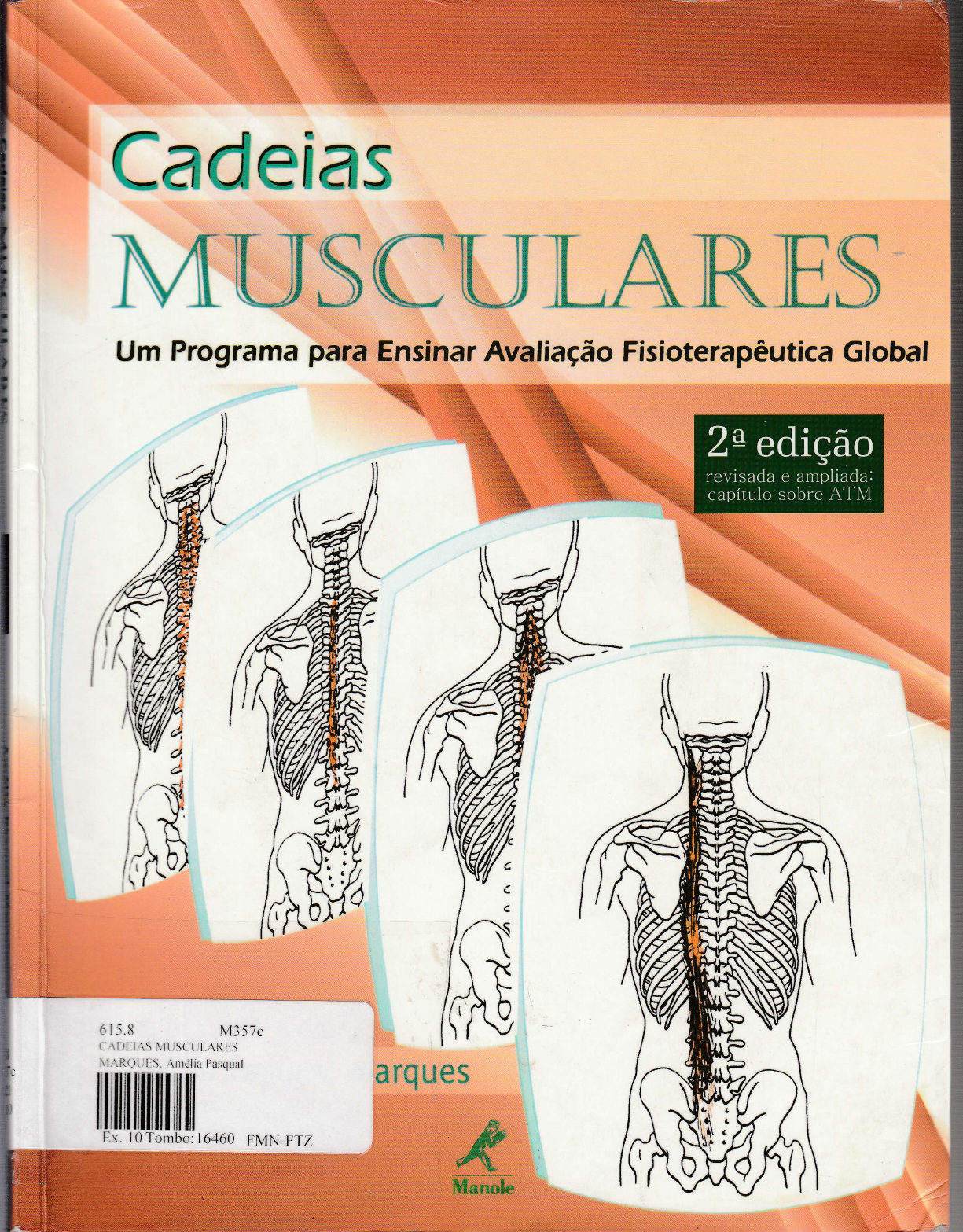 Entenda as cadeias musculares anteriores 