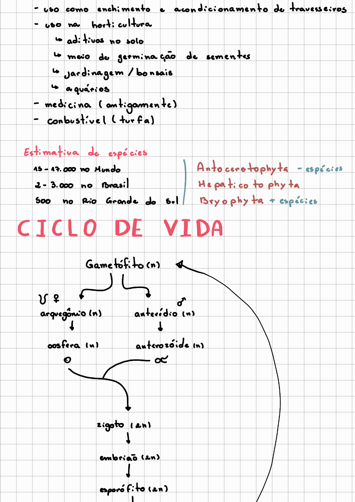 resumo aula briofitas Biologia e Sistemática de Algas Fungos e Briófitas