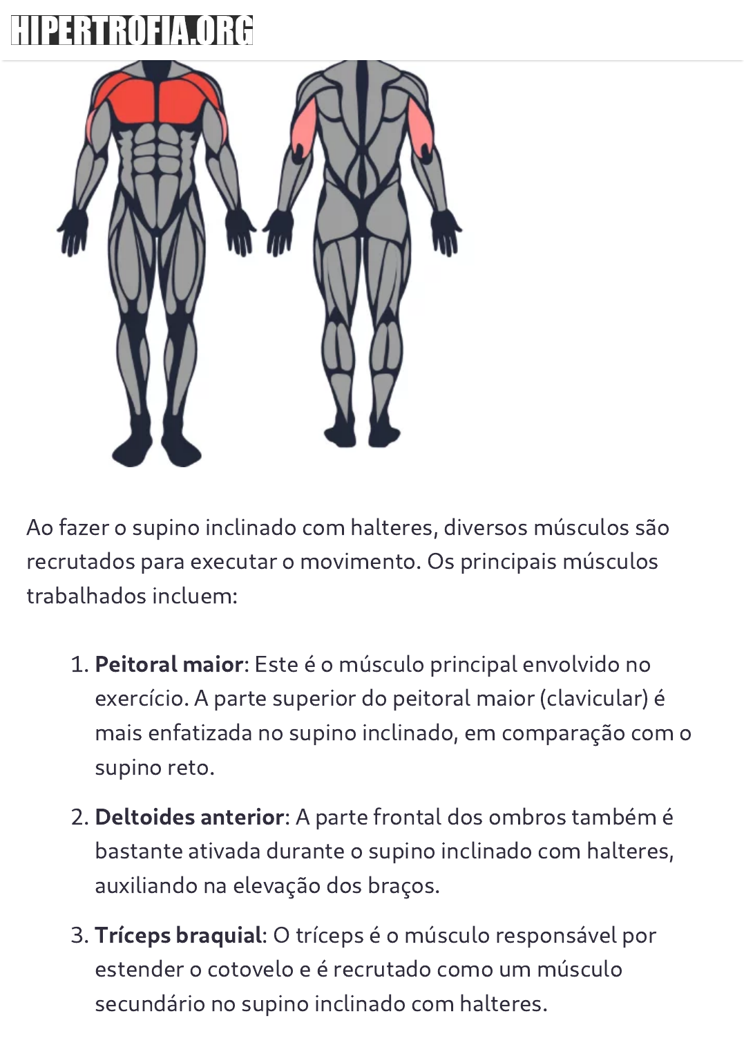 MuscleWiki - Supino Inclinado com Halteres em Posição Neutra - Ombros