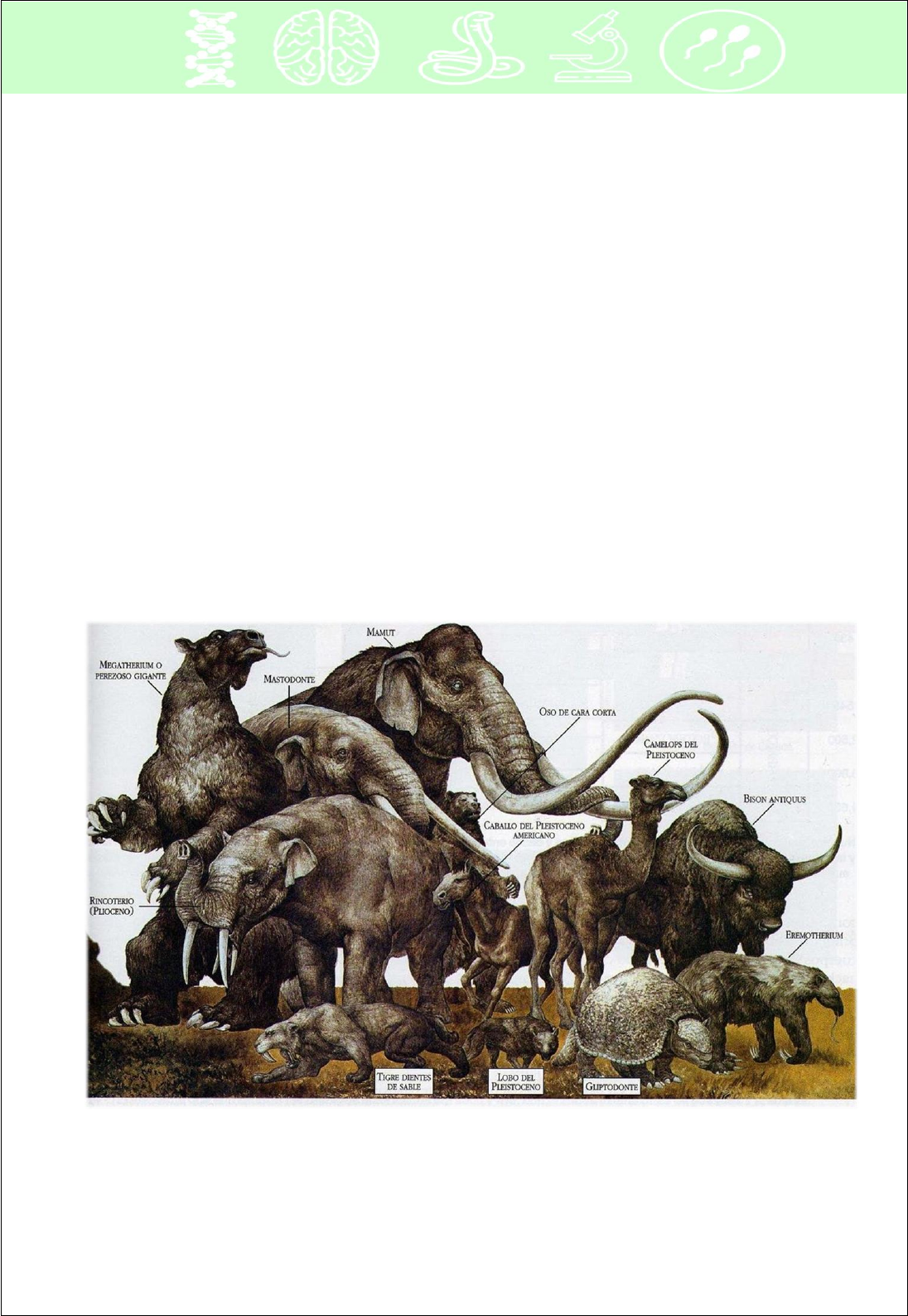 Grátis: Paleontologia 6 - Era Cenozoica - Material Claro e Objetivo em PDF  para Estudo Rápido, image size:1096x1588