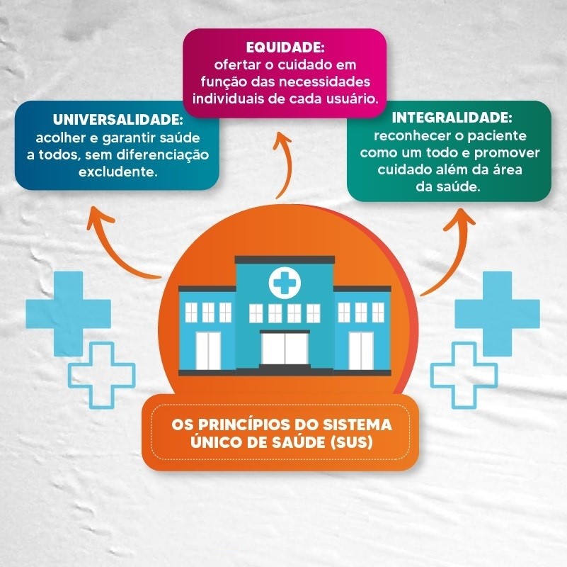 Thumbnail InfogrÁfico Os Princípios Do Sistema Único De Saúde Sus Saúde Coletiva 7081