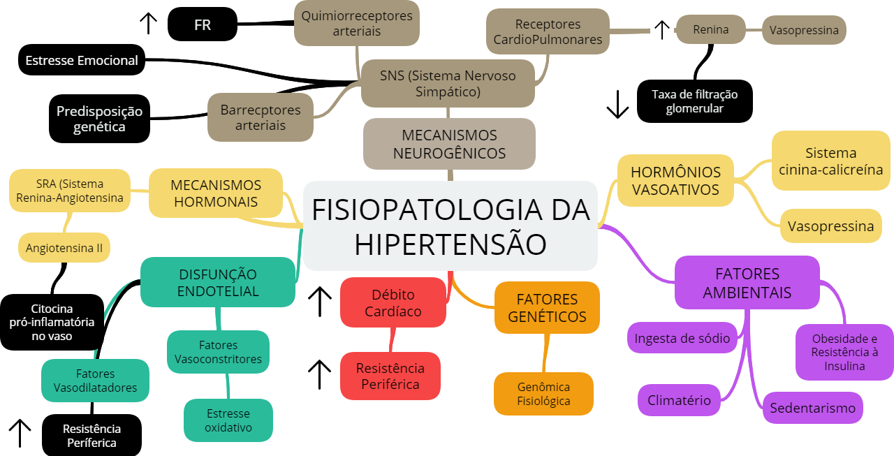 FISIOPATOLOGIA DA HIPERTENSÃO - Patologia I