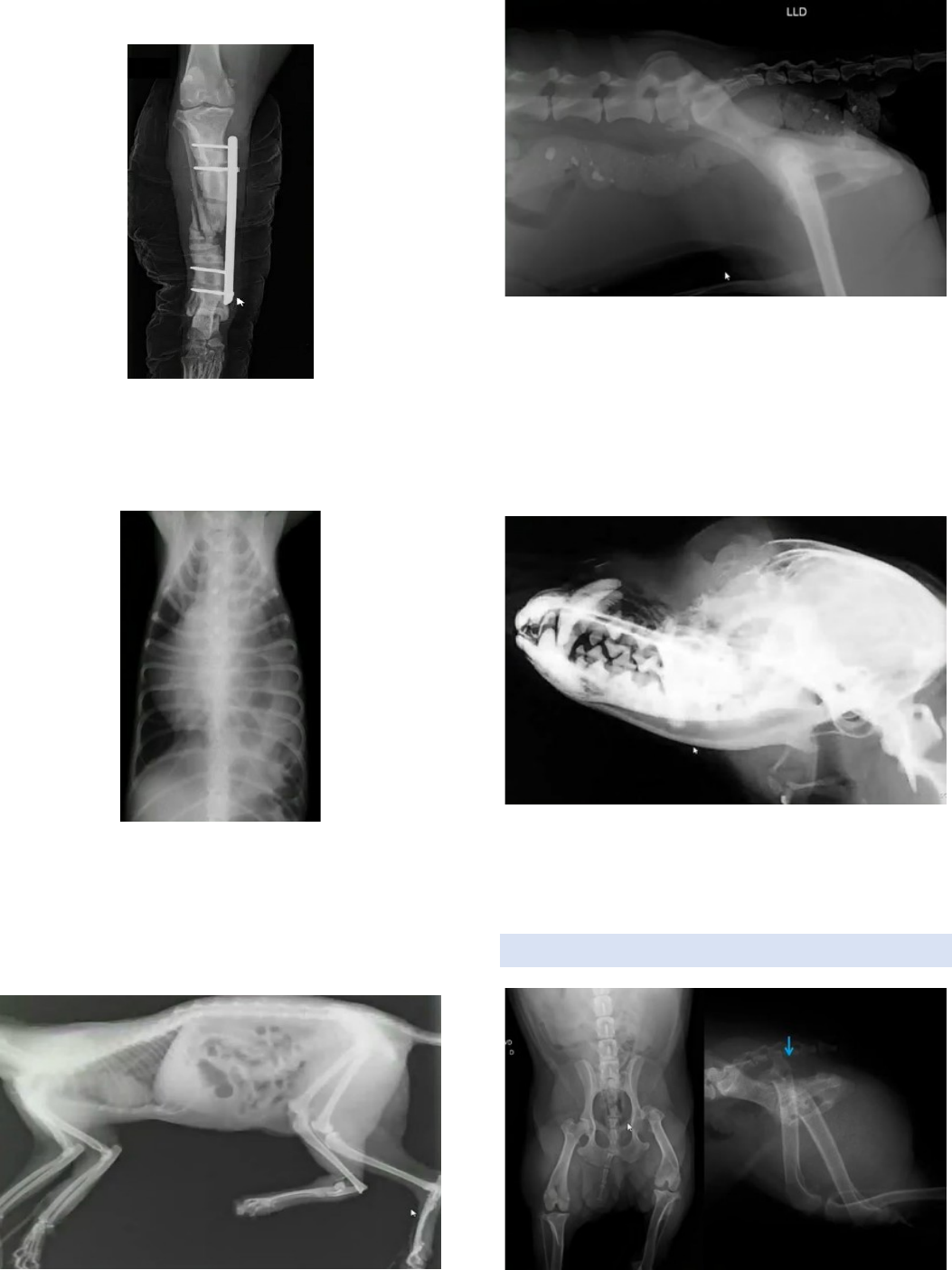 Imagens em Reumatologia, image size:1053x1405