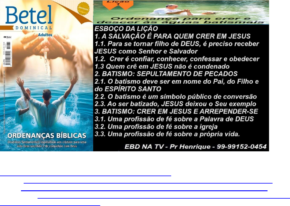 Que significa BETEL • betel SIGNIFICADO • betel DEFINICIÓN • Que