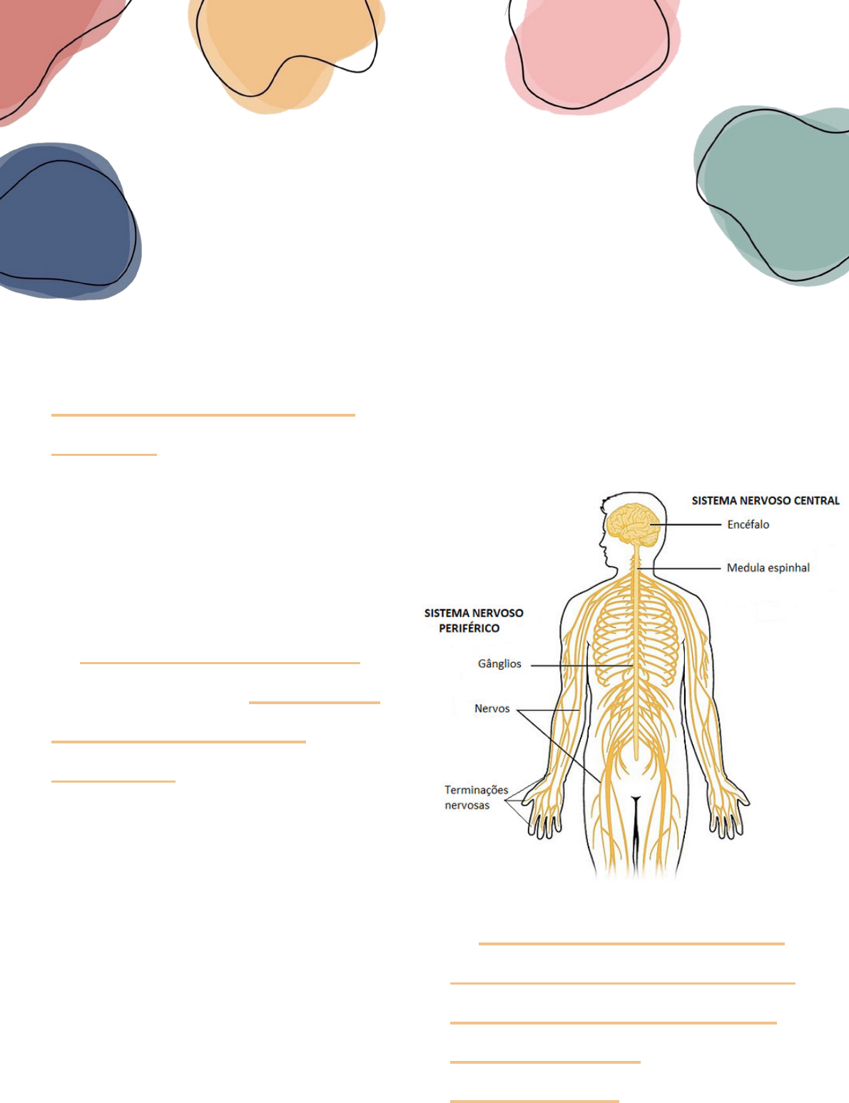 Fi aula-5-farmacologia-sna-completo