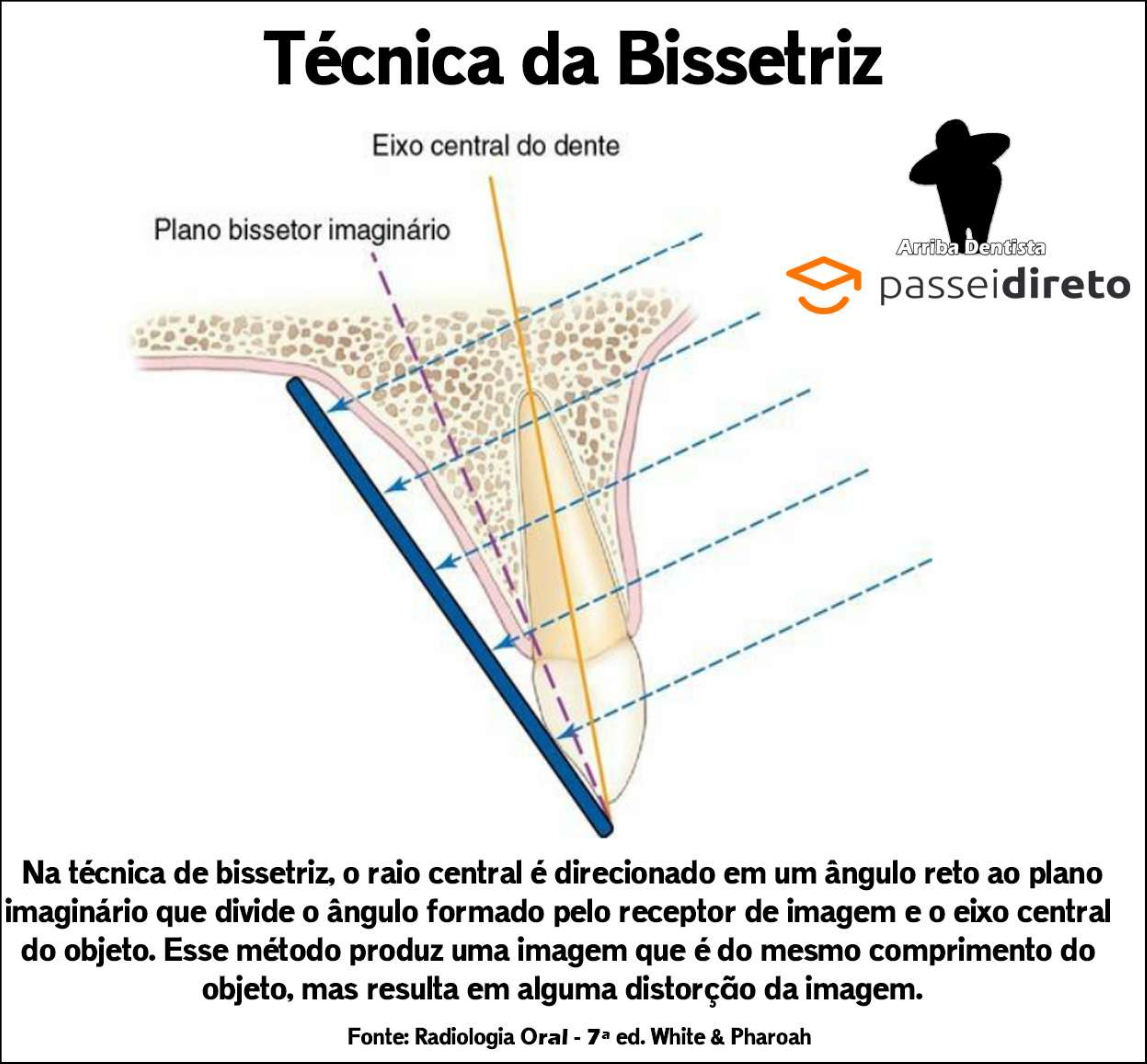 Como Calcular Uma Bissetrizes - Design Talk