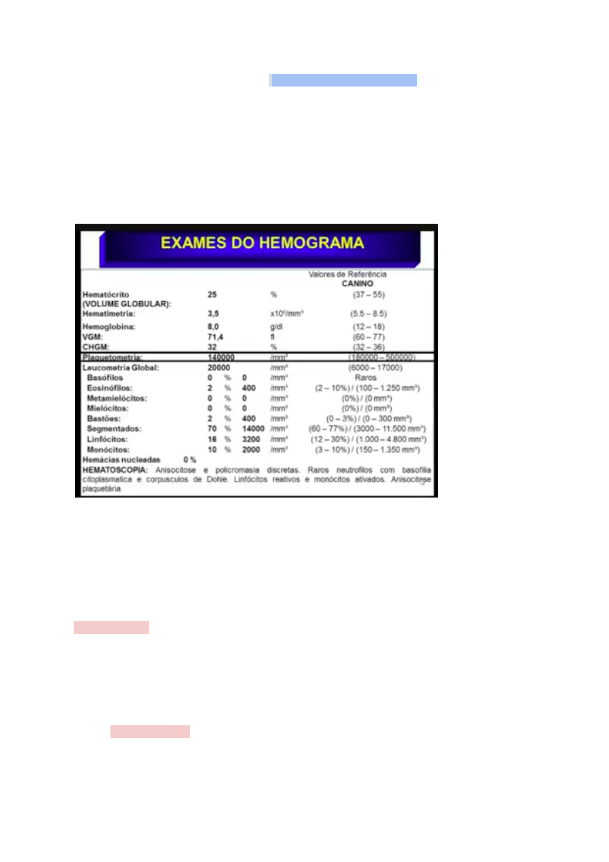 Resultados de Exames – Patologia Clínica