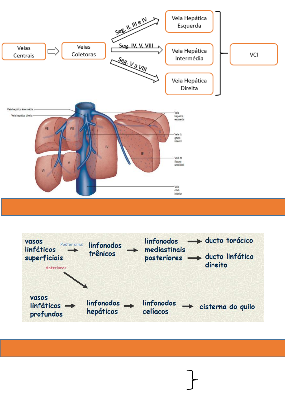 h2mKmN4DRngAC9AfyT09 632.541.383-09 (1) - Anatomia I