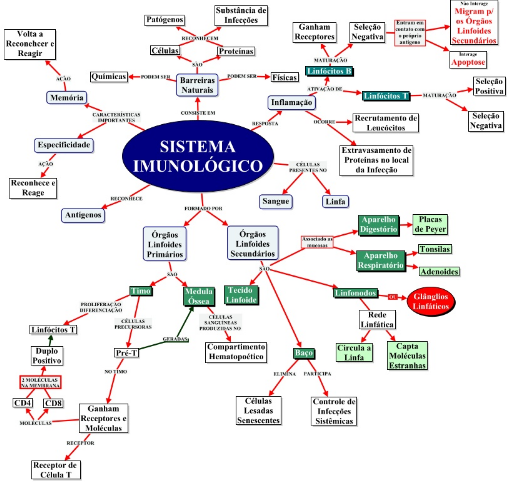 Mapa Sistema Imunológico - Imunologia