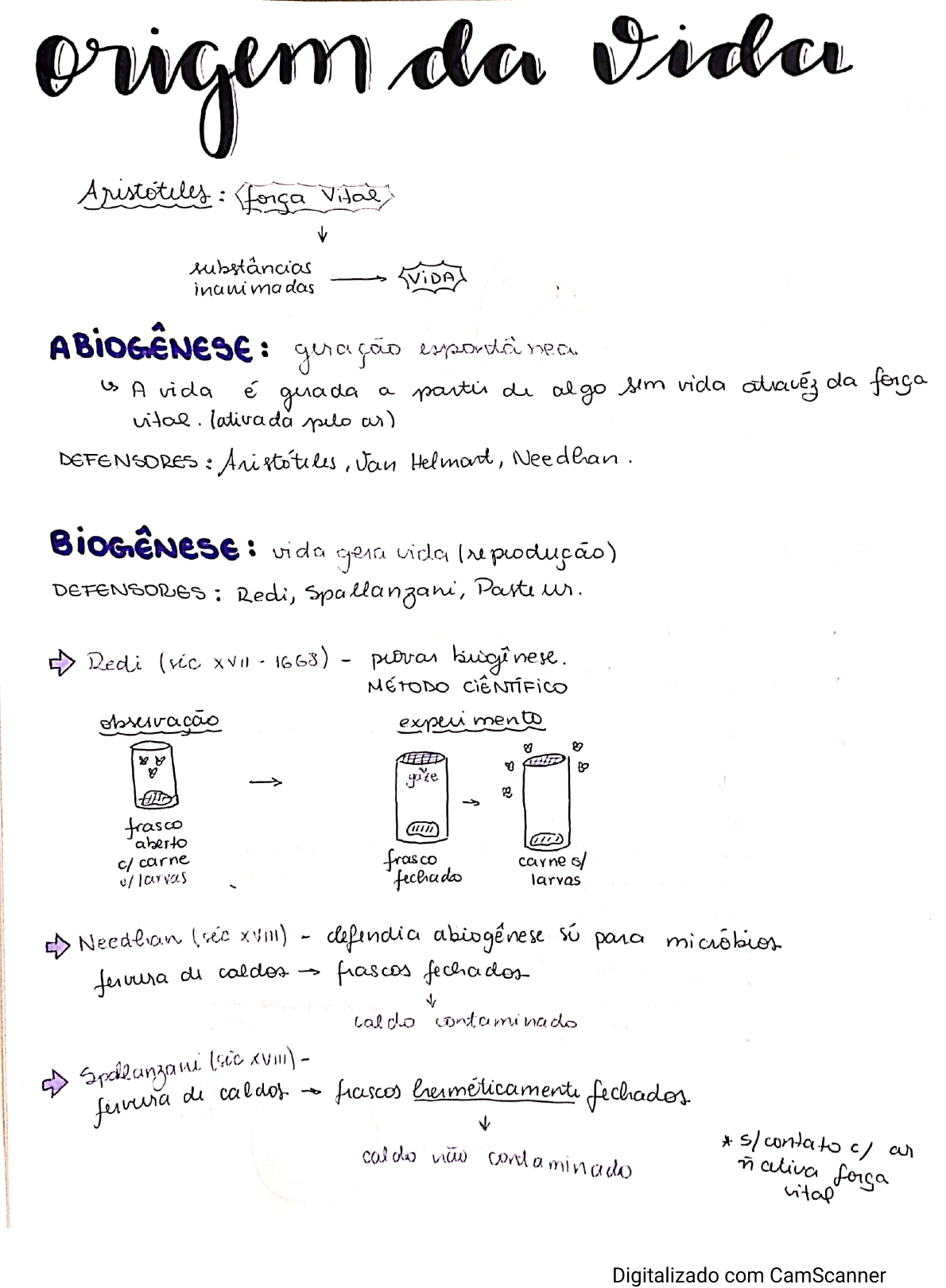 Resumo Origem Da Vida - Biologia