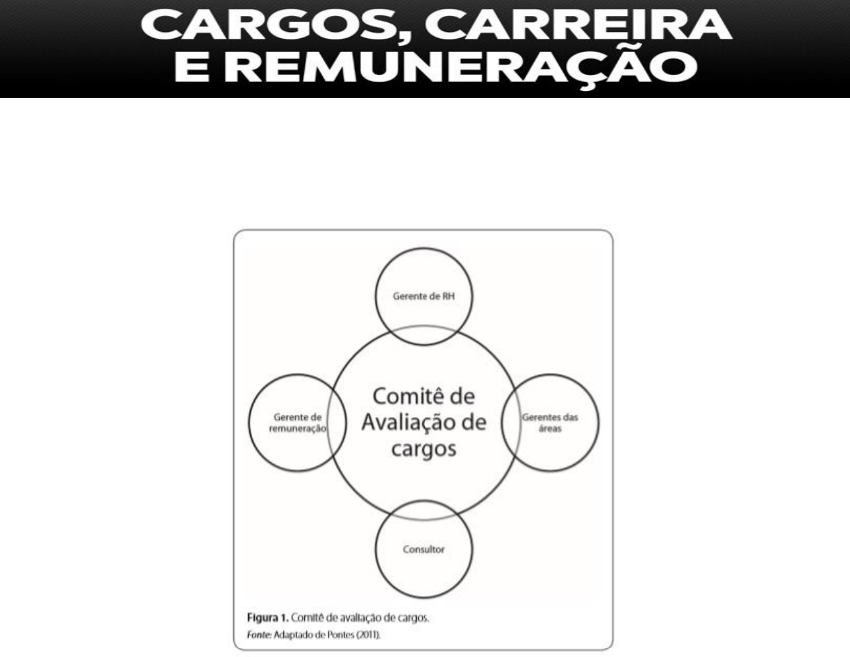 Grátis: CARGOS-CARREIRA-E-REMUNERAÇÃO - Material Claro e Objetivo em PDF  para Estudo Rápido, image size:1224x947