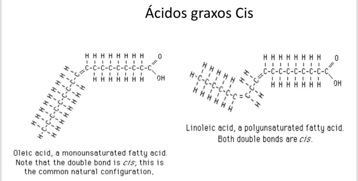 Nomenclatura Ácido Graxo Cis Química Nomenclatura Ácido Graxo Cis Química