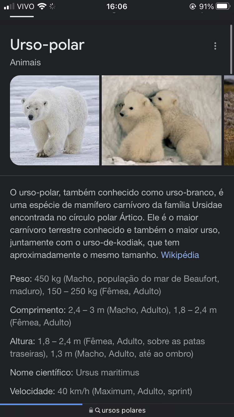 Urso panda gigante, urso, branco, animais, carnívoro png