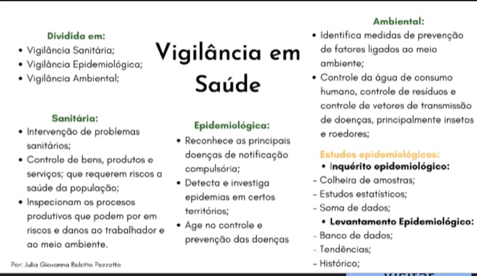 Mapa Mental - Vigilância Em Saúde