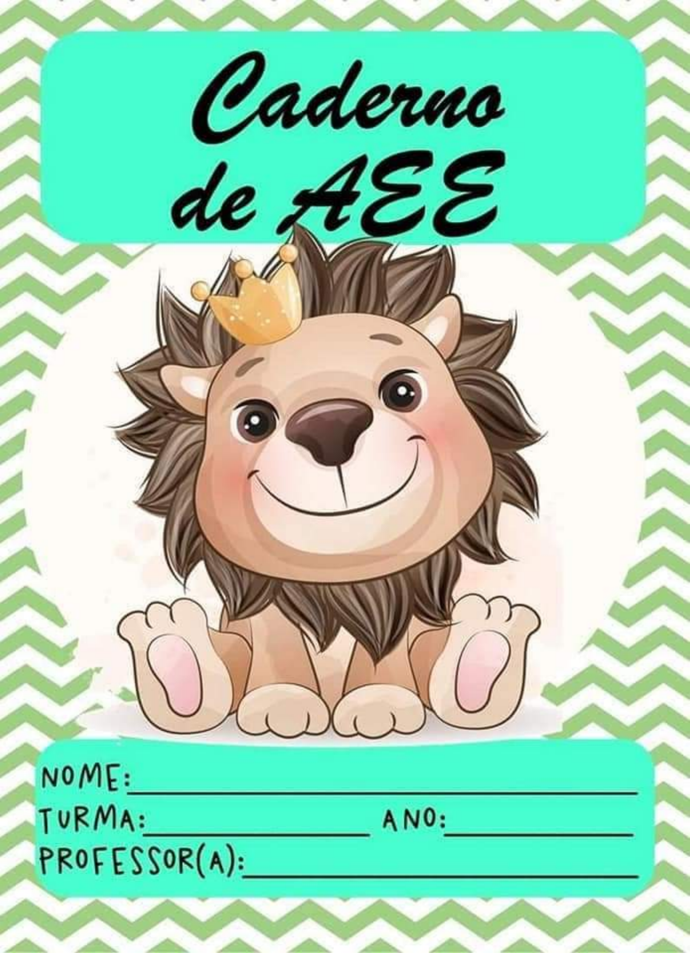 Grátis: capas caderno AEE - Material Claro e Objetivo em PDF para Estudo  Rápido