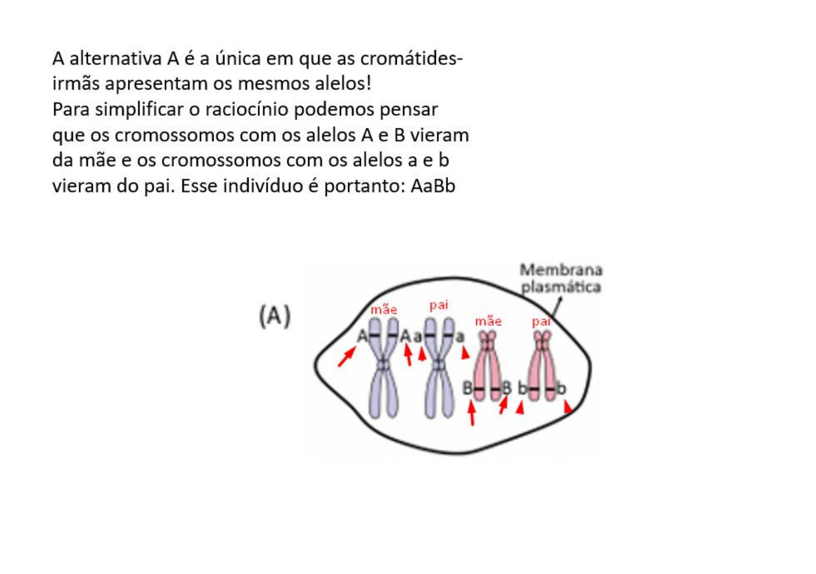 Questão 29 Fuvest 2021 - Biologia