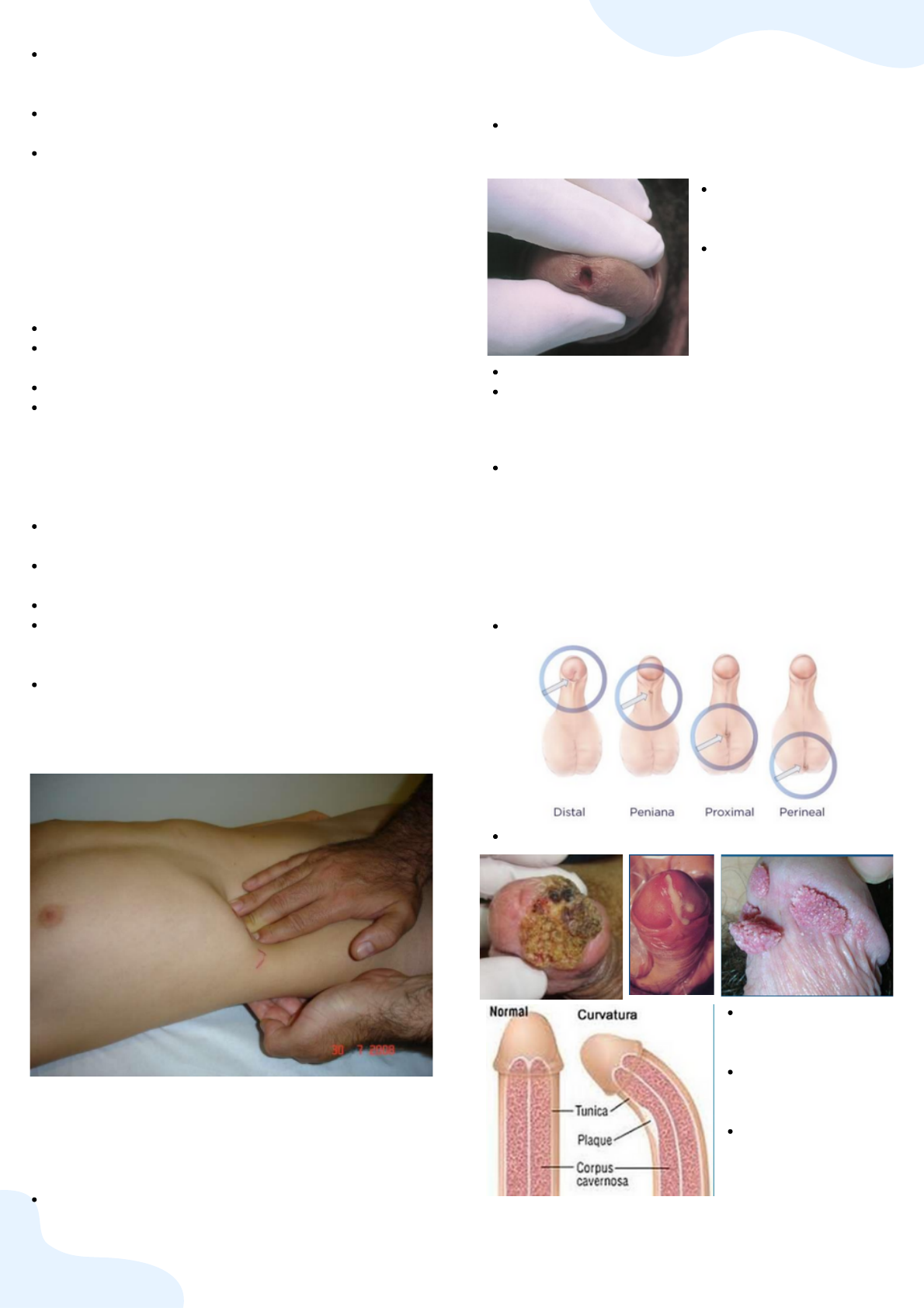 Semiologia e propedêutica urológica - Urologia