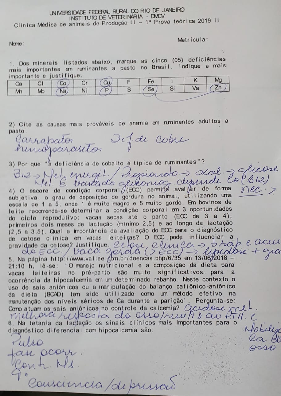 Prova de Clinica de Grandes II com gabarito - Clínica de Grandes Animais II