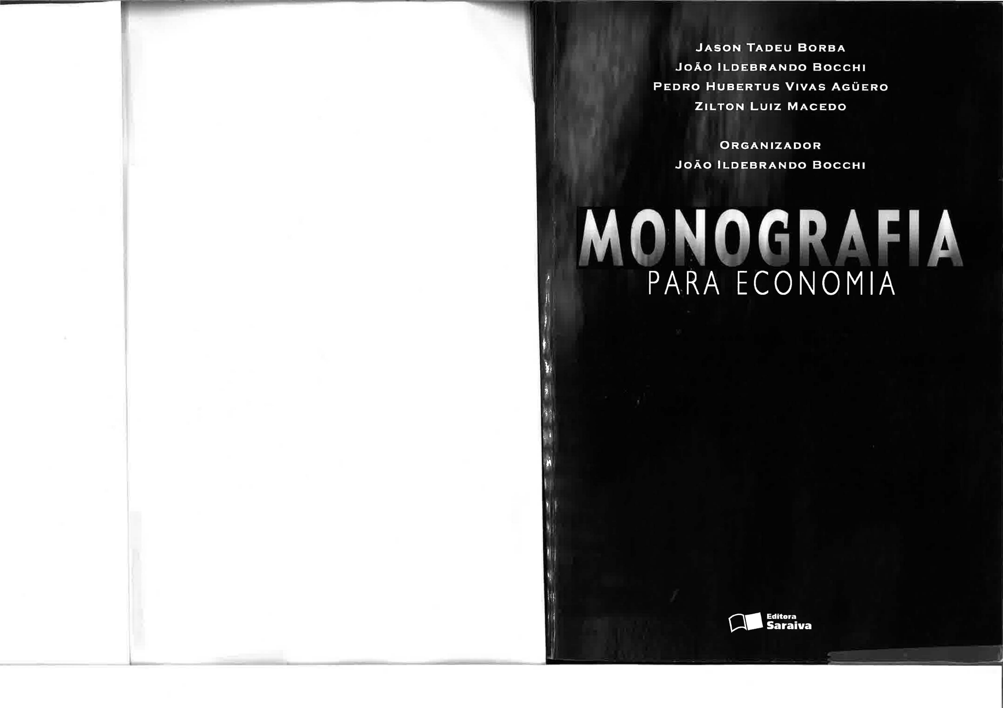 4 monografia puc integração-luiz-viana
