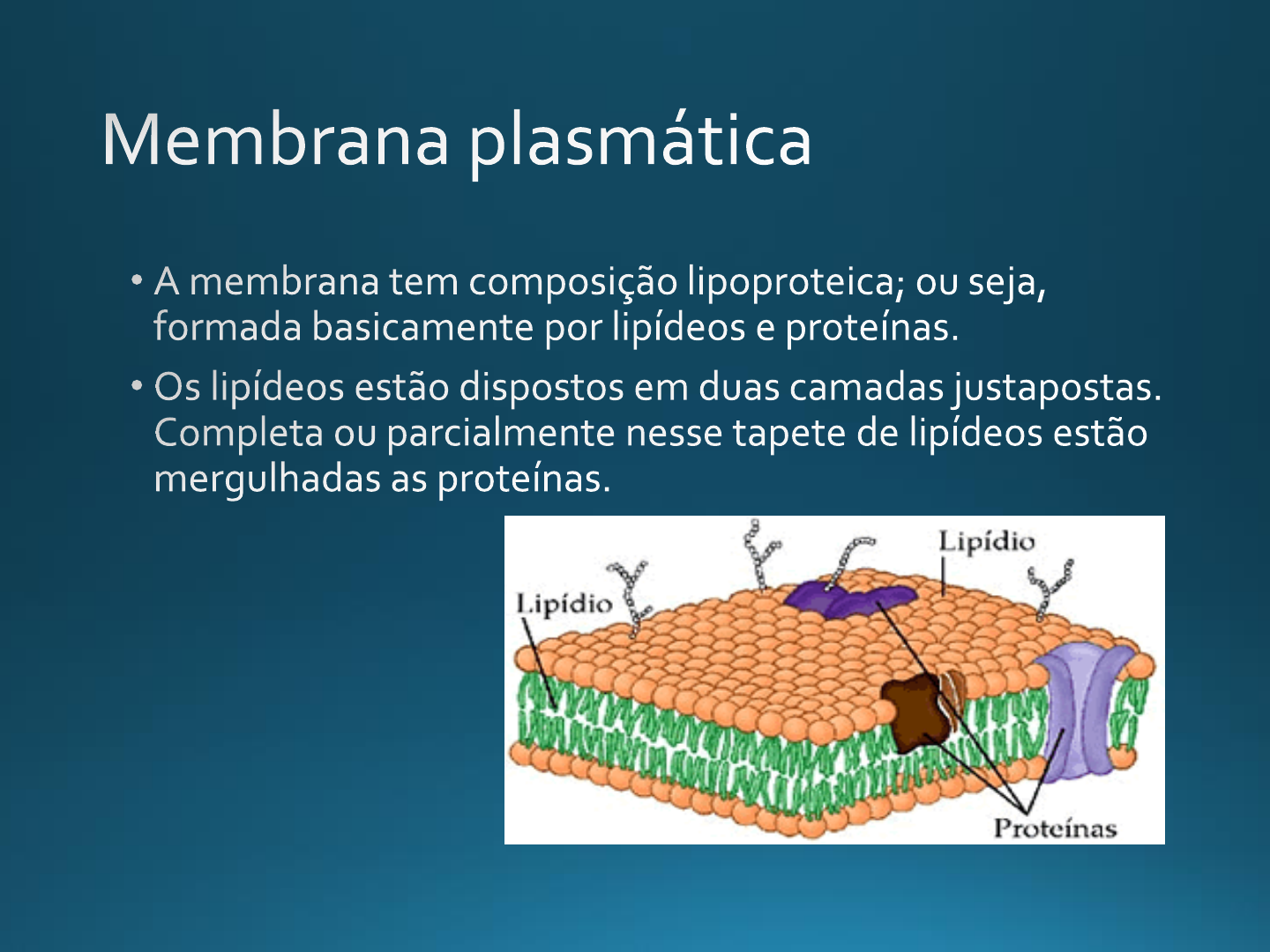 Aula 4 Membrana Plasmática Biologia Celular 3972