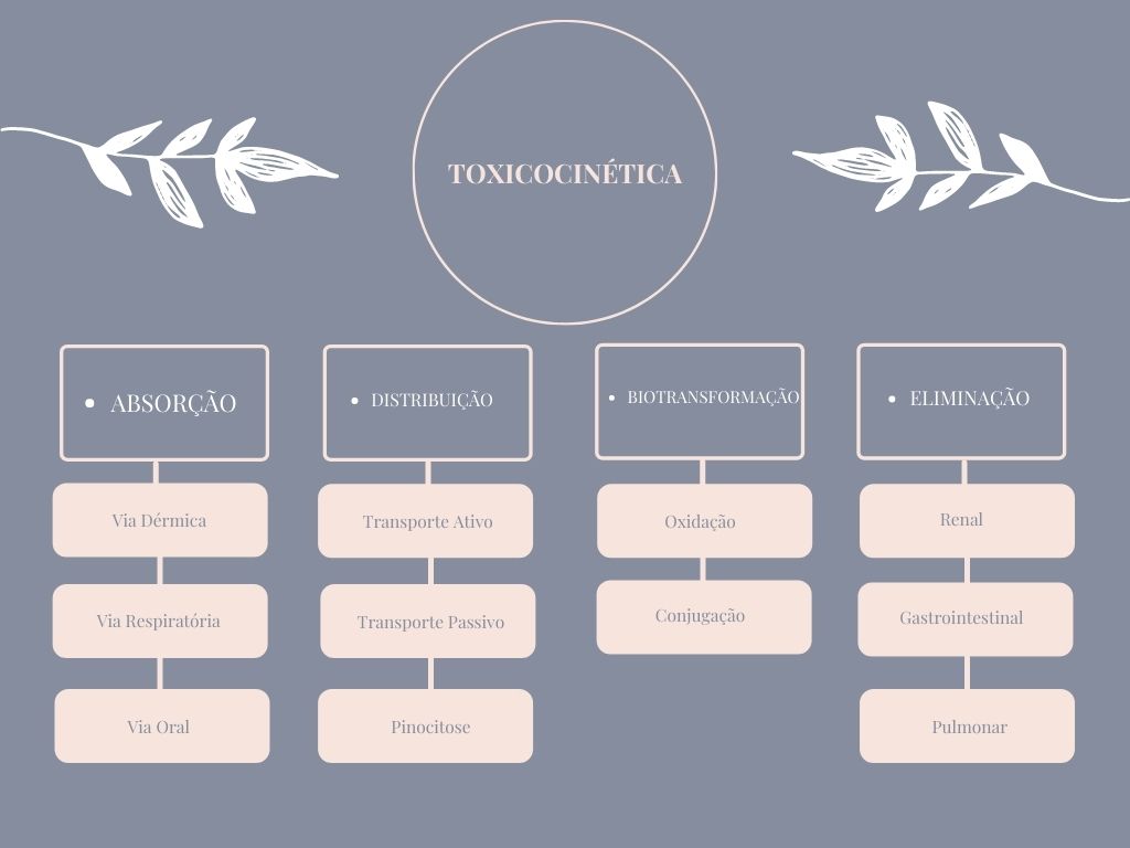 SOLUTION: Mapa mental toxicologia - Studypool